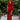 AURORA RED GOWN